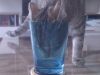 imag0011